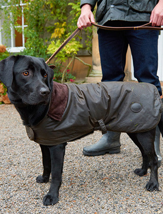 barbour tartan dog coat
